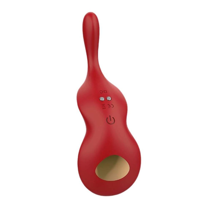 Vibrador De Calcinha Via App Mega Import