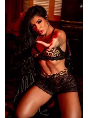 imagem do produto LINGERIE ONÇA